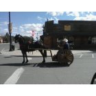 Colville: : Horse and cart at the corner of 4th & Oak ST taken 5/14/2011