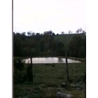 Berryville: My view of the world, Berryville AR...