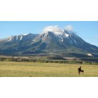La Veta: : Horse nursing colt - West Spanish Peak - La Veta, Colorado