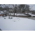 Tool: Snow in Paradise. The Bay Feb. 2011