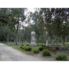 Savannah: : Bonaventure cemetery - Embodies the South...