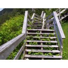 Ketchikan: : Stairway in Ketchikan