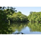 Arlington: Hill's Pond at Menotomy Rocks Park