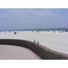 Pensacola: : Seagulls watching the people at Pensacola Beach