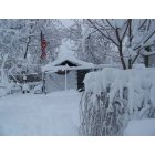 Carnegie: winter wonder land