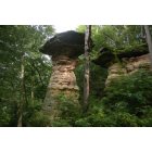 Wisconsin Dells: The tree rock