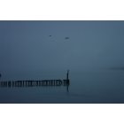 Kalama: : A grey morning on the Columbia River, Kalama, WA