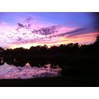 Plantation: Sunset over lake in Plantation, FL