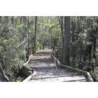 Conway: : NEW TRAIL OPENING IN CONWAY