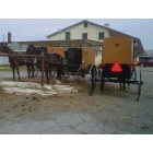 New Wilmington: : Amish buggys in New Wilmington, PA