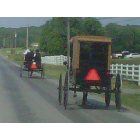 New Wilmington: : Amish buggys in New Wilmington, PA