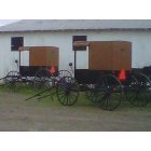 New Wilmington: : Amish Buggys in New Wilmington, PA