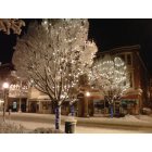 Chambersburg: Winter 2010/2011