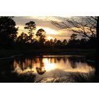 Charleston: : Sunset over Pond