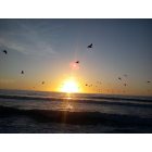 Ventura: : sunset at ventura beach