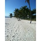 Key West: : Smathers Beach