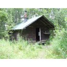 Willow: OLD CABIN AT MONTANA CREEK