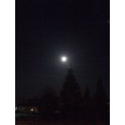Redlands: : Feathered by the Moonlight Redlands, CA