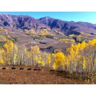 Crested Butte: : Crested Butte Fall Colors