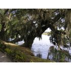 Charleston: : Middleton Plantation Pond