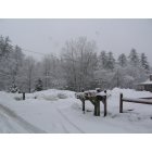 Sanford: : Javica Lane in the snow