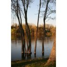 Monticello: A Gathering At Rivers Edge... Ellison Park