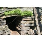 Preston: tunnels and root celler on our farm the old John Meech homestead