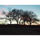 Fernley: : Cottonwood trees near the Fernley Canal and another beautiful sunset.