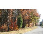 Gaylesville: Beautiful County Road 80.....Fall 2011