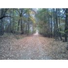 Mineola: : Walking trail at Mineola Nature Preserve.