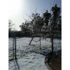 Cherry Valley: Snowy Days in Cherry Valley