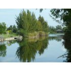 Cape Coral: : One of the countless canals in Cape Coral