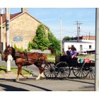 Mercer: : Amish buggy in Mercer, PA