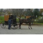 New Wilmington: : New Wilmington Amish