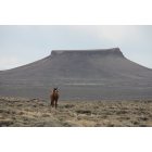 Rock Springs: : Wild Horse at Pilot Butte