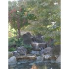 San Antonio: : Japanese Garden, San Antonio