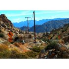 Yucca Valley: : Old Woman Springs Road
