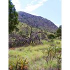 Carlsbad: : Guadalupe Mountains National Park near Carlsbad, NM
