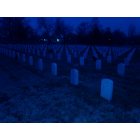 Springfield: : national cemetery 5am