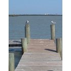 Fort Pierce: : on the coast of somewhere beautiful....inlet dock