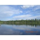 Pinetop-Lakeside: Woodland Lake