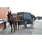 Tomah: Amish Driving