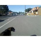 Shady Cove: : Downtown Shady Cove - July 2011 My dog loves this town