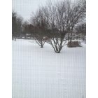 Waco: Snow day in Waco Georgia in Haralson County