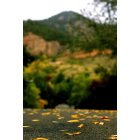 Boulder: : Beginning of fall in Boulder