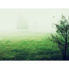 Washburn: Washburn in the Morning Fog