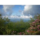 Lumpkin: : View from the top of the Blood Mountain hiking trail.