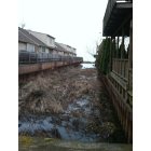 St. Clair Shores: : This is the lovely canel behind my home, leading out to Lake Saint Clair