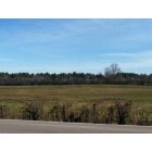 Rutherford: Beautiful farm land in the Blackman area