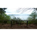 Olympia: : Tolmie state park view